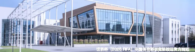 我们的故事：从热爱到专业